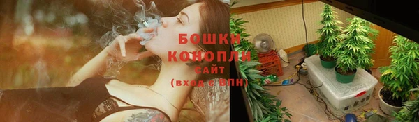 дмт Карпинск