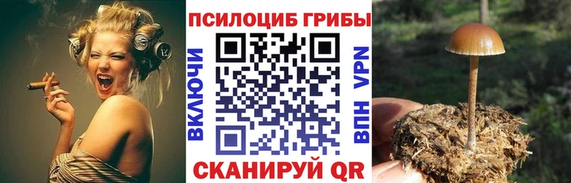 Галлюциногенные грибы Psilocybine cubensis  МЕГА зеркало  Кувшиново 